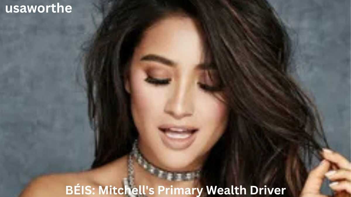 Shay Mitchell Net Worth: BÉIS as Her Primary Wealth Driver